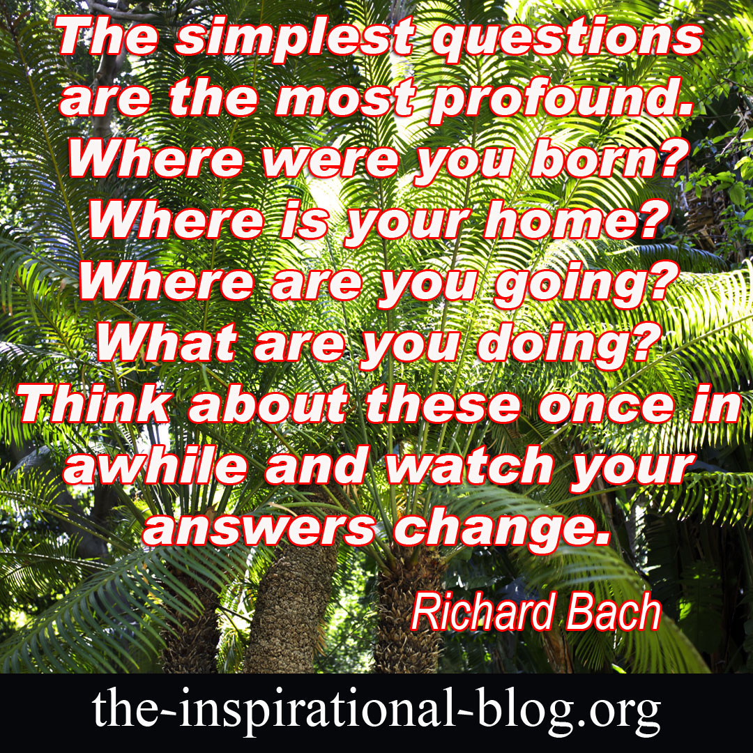 Inspirational Richard Bach quotes