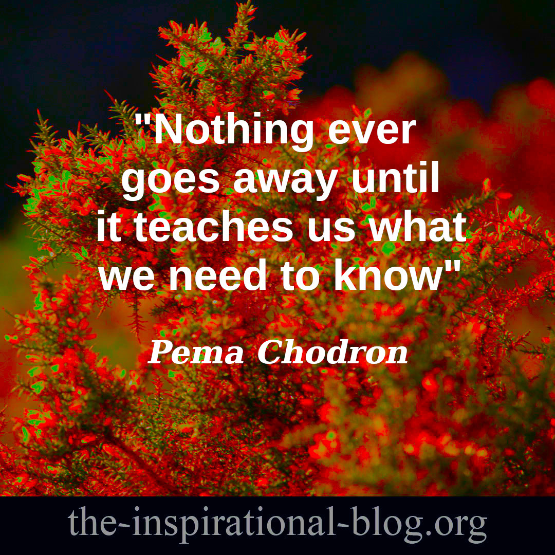 Inspirational Pema Chodron quotes