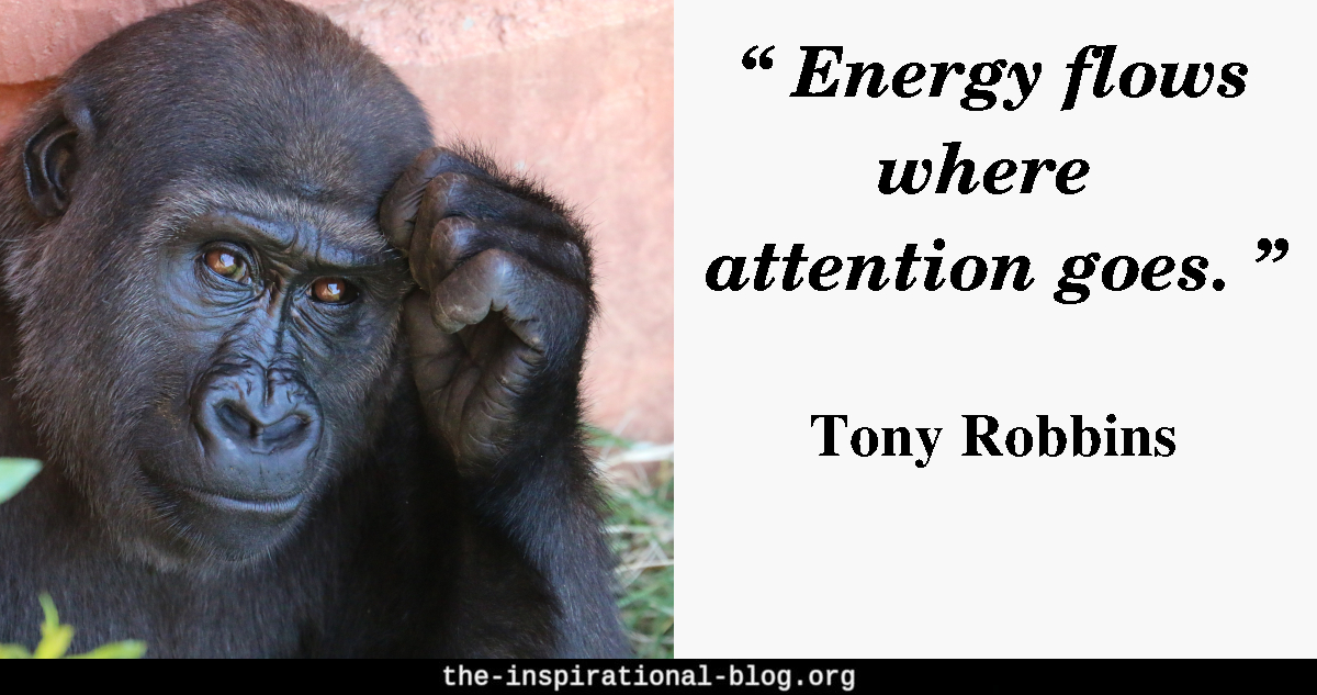 Tony Robbins quotes